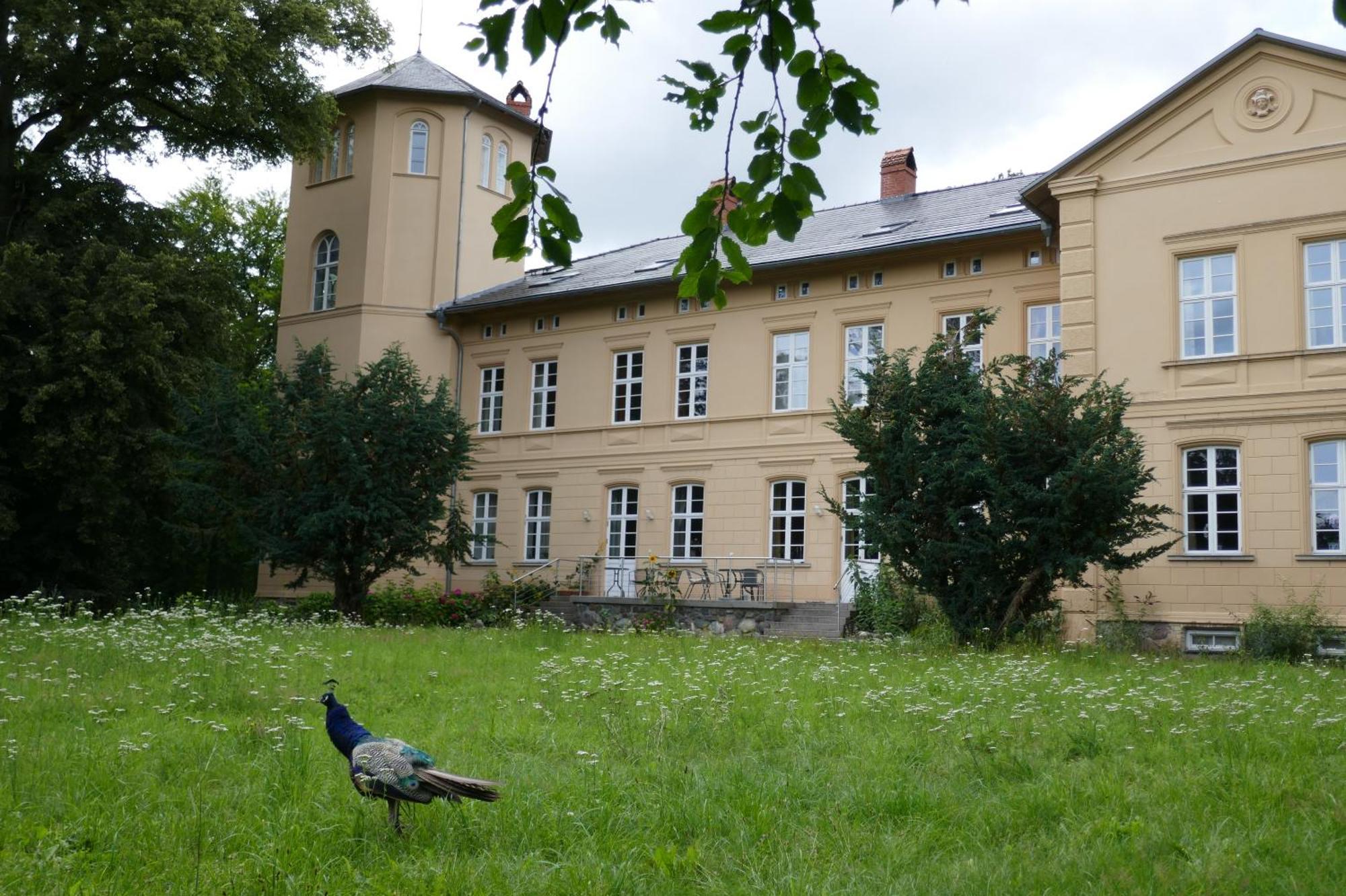 Landhaus Schloss Koelzow Kolzow المظهر الخارجي الصورة